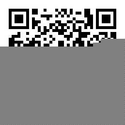 the qr code